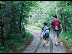 -五营红松林海景区
