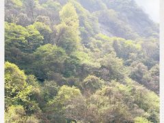 -岳西天峡风景区