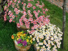 -森居forest休闲咖啡聚集地