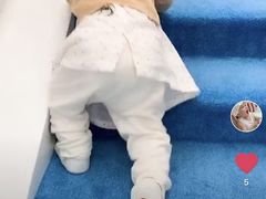 活动室-美吉姆早教(恒隆中心)