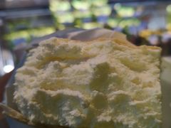 -沃洛格达(万象城n次方店)