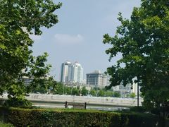 -世纪钟