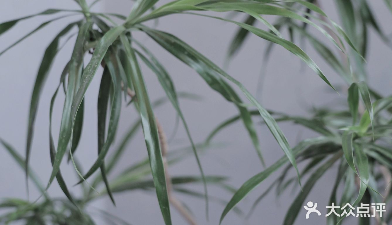 成都|云中漫步☁ 玻璃盒子朵云书院超出片