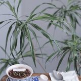 成都|云中漫步☁ 玻璃盒子朵云书院超出片