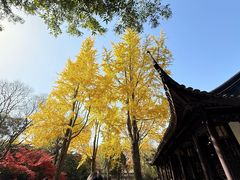 -蟹村草堂·苏式园林人文农家·大闸蟹