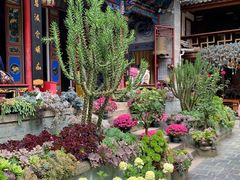 -寂照庵