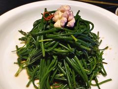 -蒙料·手把肉(望京店)
