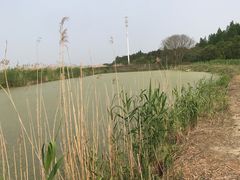 -同里国家湿地公园