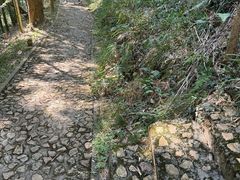 -上海佘山国家森林公园天马山园