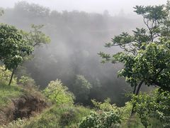 -洛阳白云山景区