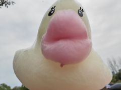 -杭州野生动物世界