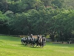 -广州雕塑公园