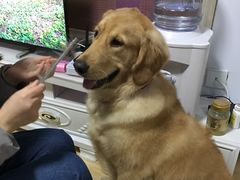 -青岛东方影都融创水世界