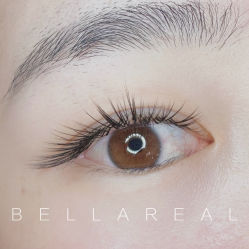 -BELLAREAL新美社