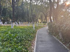 -海珠湖公园