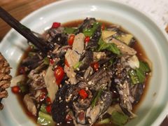 凉拌鬼鸡-紫滇源云南生态菜(丹凤街店)