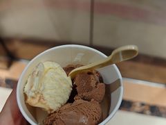 -齐河孔雀王温泉酒店·金孔雀自助百汇