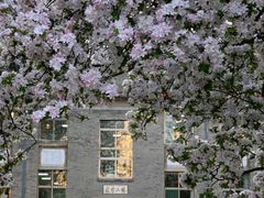 -山东师范大学(千佛山校区)