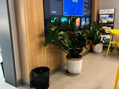 -北京华德眼科医院