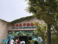 -石家庄市动物园