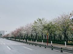 -花都广场