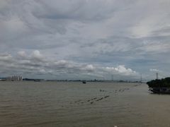 -海鸥岛