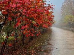 -丹东天桥沟景区