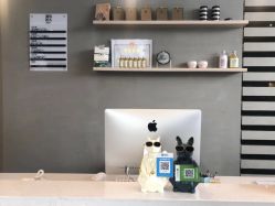 -MOVAN HAIR莫凡匠人发型屋