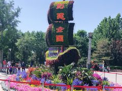 -大兴滨河森林公园