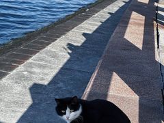 -悦海公园