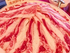 -小龙坎火锅(全球旗舰店)