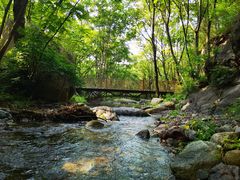-云岫谷游猎自然风景区