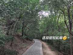 -紫金山山顶公园