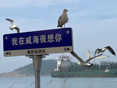 -海驴岛(荣成市)