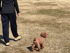 -长广溪湿地公园