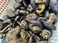 -草墩罗非鱼庄•野生菌•腊排骨(七星街上段店)