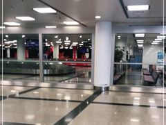 -厦门高崎国际机场-T3航站楼