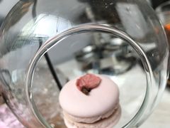 -苏州希尔顿酒店·园大堂吧