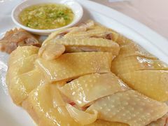 -清心鸡沙田乳鸽店·非遗传承(石溪店)