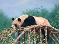 -杭州动物园