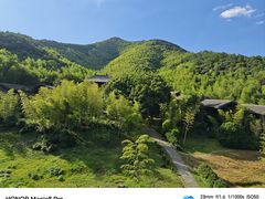 -大唐贡茶院
