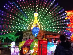-淄博花灯齐彩城