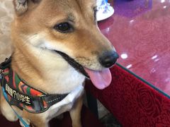 -鑫渔港海鲜本地菜·山海关浑锅(东戴河店)