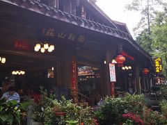-龙翔山庄雷鸡肉(青城后山泰安古镇店)