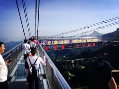 -梦幻奥陶纪景区