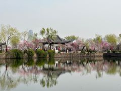 -无锡蠡湖国家湿地公园-蠡园