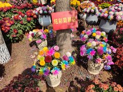 -八大山人梅湖景区