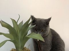 -拜鲁耶动物诊疗中心·宠家动物医院