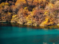 -叠溪松坪沟景区