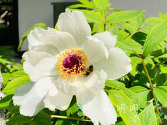 -狼山风景名胜区